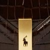 Geantă de mână Ralph Lauren Polo ID, ciocolată, cu lanț cu plic în relief Geantă de mână Ralph Lauren Polo ID, ciocolată, cu lanț cu plic în relief
