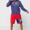 Hanorac cu logo Ralph Lauren pentru bărbați bleumarin Hanorac cu logo Ralph Lauren pentru bărbați bleumarin