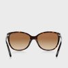 Ochelari de soare maro Ralph Lauren 0RA5160 Butterfly pentru femei Ochelari de soare maro Ralph Lauren 0RA5160 Butterfly pentru femei