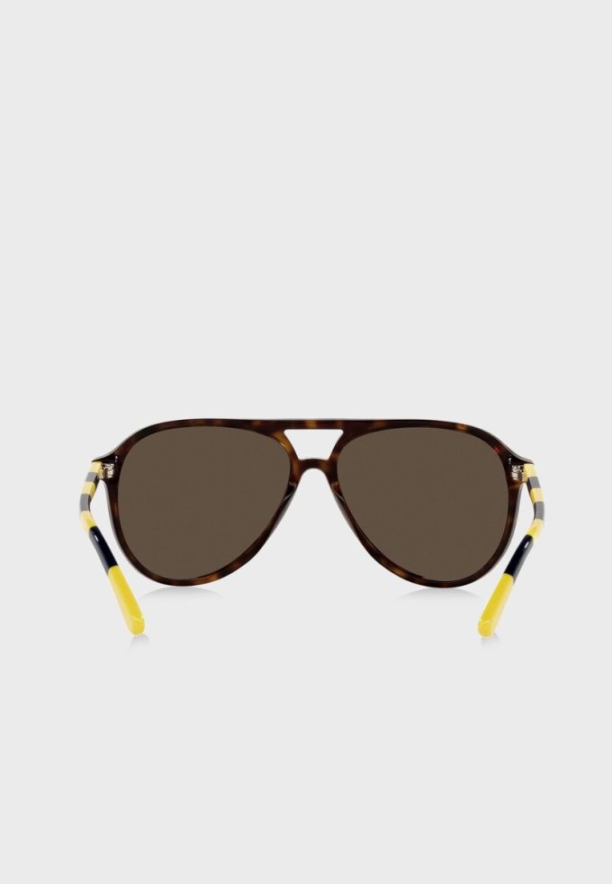 Ochelari de soare Ralph Lauren 0Ph4173 Clubmaster maro pentru bărbați