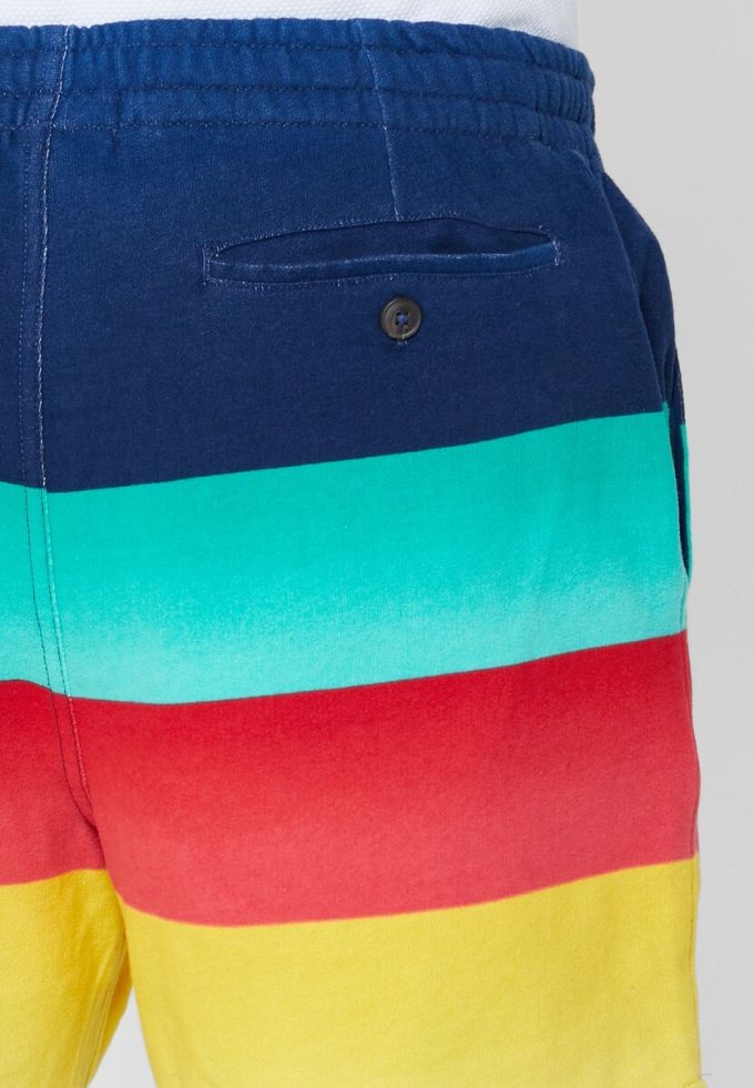Pantaloni scurți multicolori pentru bărbați Ralph Lauren Color Block Pantaloni scurți multicolori pentru bărbați Ralph Lauren Color Block
