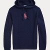 Pulovere cu glugă din cașmir, Ralph Lauren, roz Pony, pentru damă